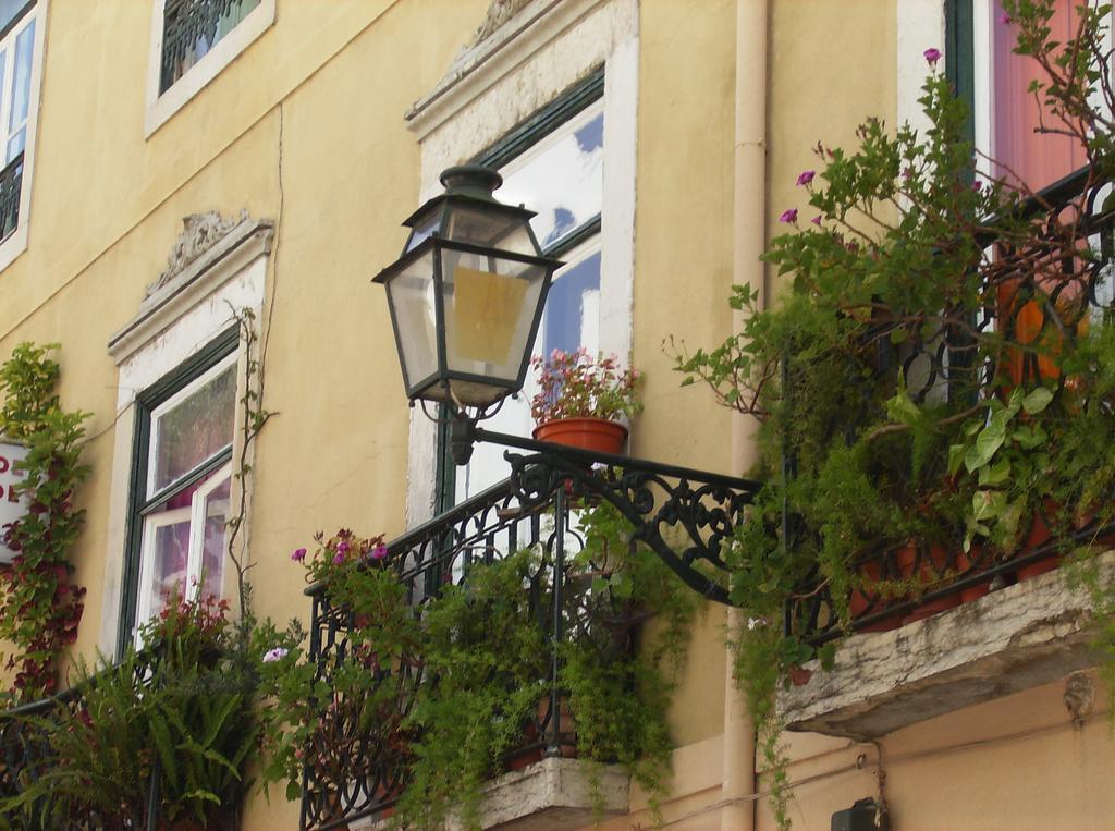 Dias E Dominguez * Lisbon